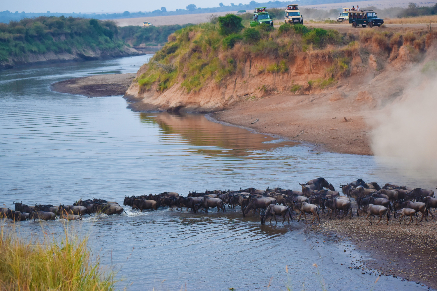 Masai Mara Safari